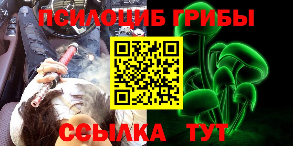 Псилоцибиновые грибы мухоморы  цены наркотик  Реж  Вход с VPN 